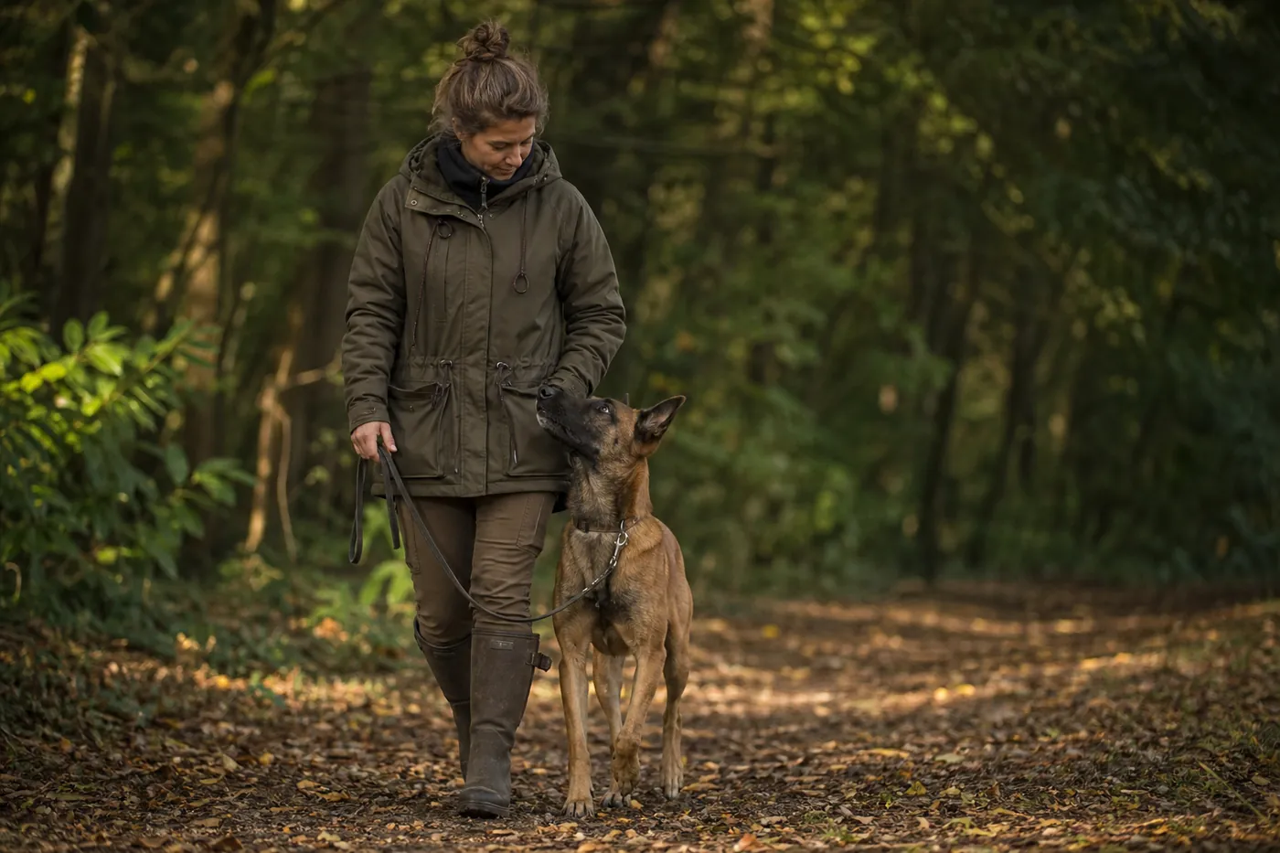 Berger Belge Malinois attentif aux côtés de sa conductrice